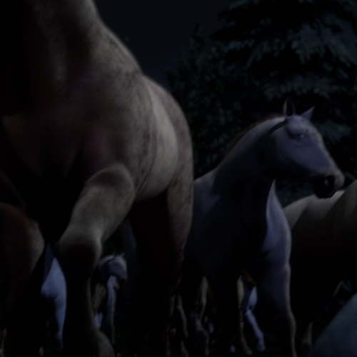 The Horses (2011), Group Project - Animator